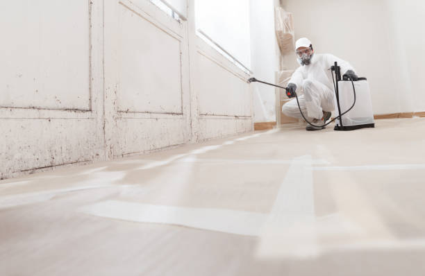24/7 Emergency Basement Mold Removal experts in Lebanon, TN